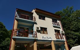 Pensiunea Pinul Negru